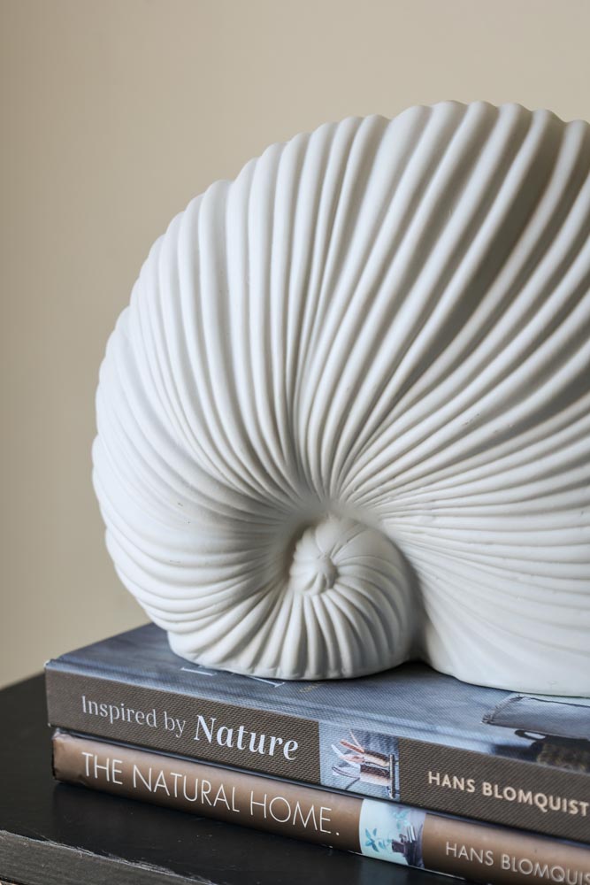 White Faux Sea Shell Ornament