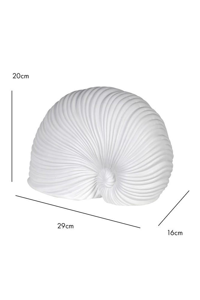White Faux Sea Shell Ornament