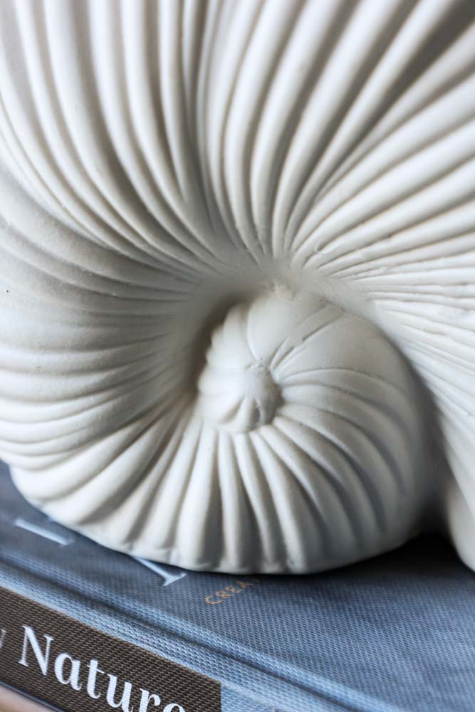 White Faux Sea Shell Ornament